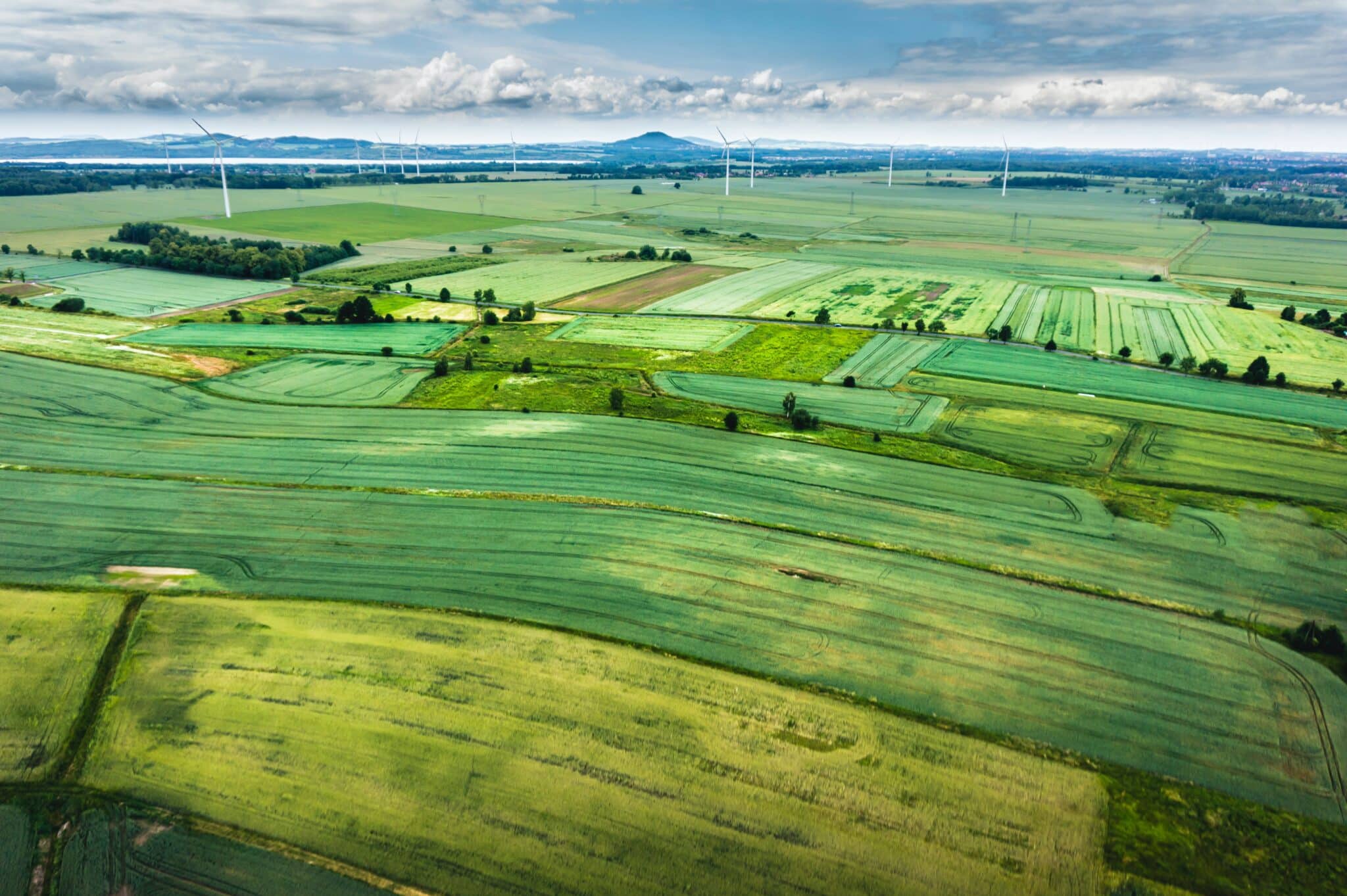 tomasz-bazylinski-V3p5NSMh_lo-unsplash ways to invest in real estate: farmland