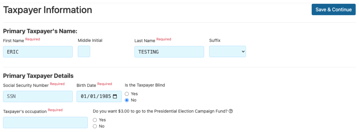 fileyourtaxes.com taxpayer information taxpayer information screenshot