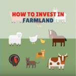 How To Invest In Farmland